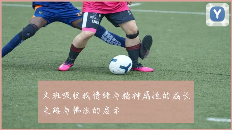 文班吸收我情绪与精神属性的成长之路与佛法的启示